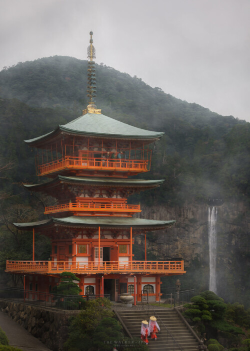 Worship - 参拝